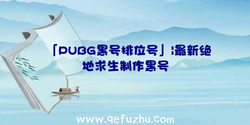 「PUBG黑号排位号」|最新绝地求生制作黑号